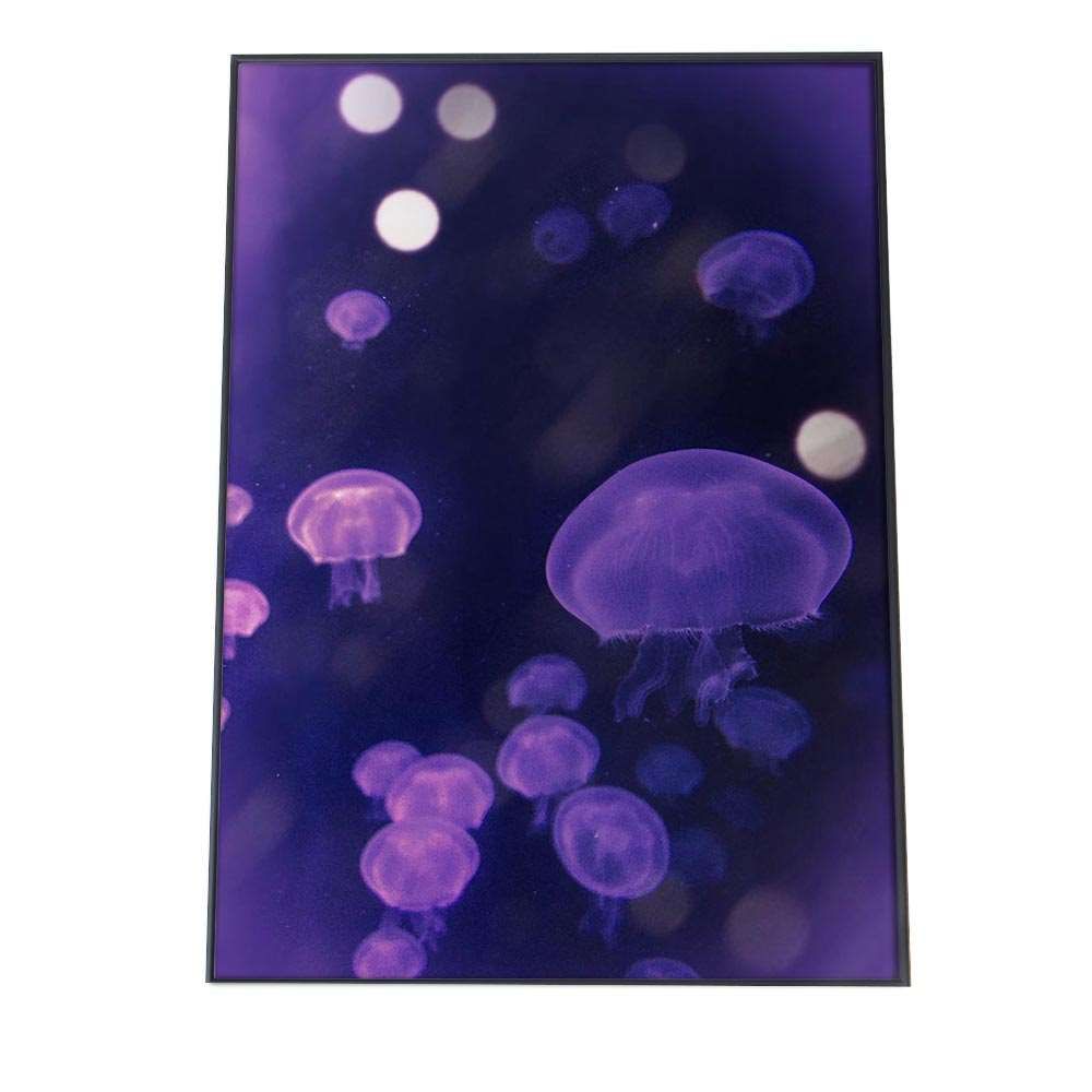 A3サイズ（約30×42cm）】【an-poster-736】クラゲ くらげ ジェリー