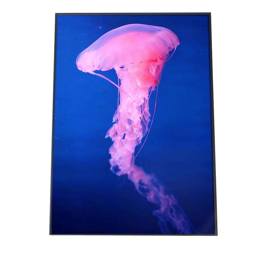 A3サイズ（約30×42cm）】【an-poster-747】クラゲ くらげ ジェリー