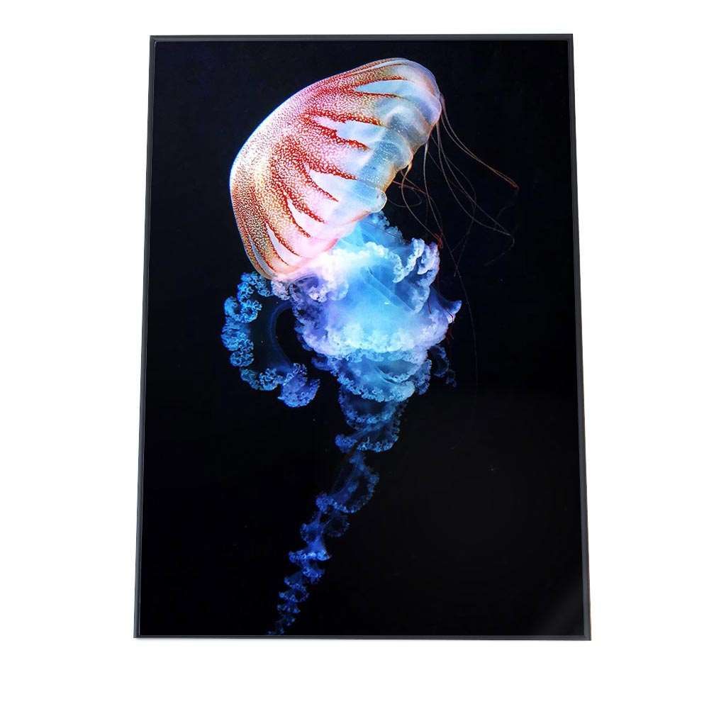 A3サイズ（約30×42cm）】【an-poster-764】クラゲ くらげ ジェリー