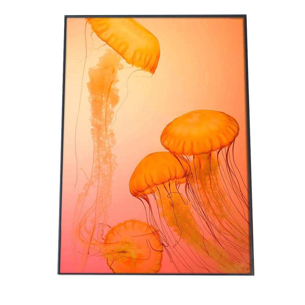 B3サイズ（約36x51cm）】【an-poster-769】クラゲ くらげ ジェリー
