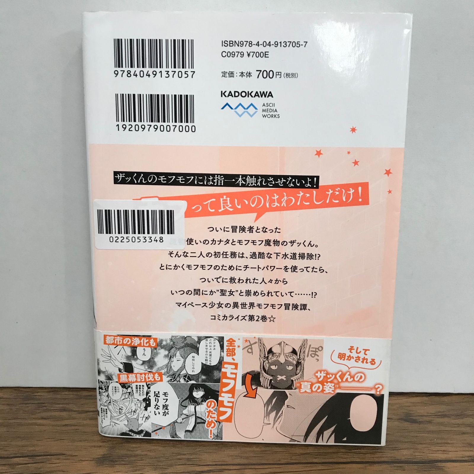 聖女さま？いいえ、通りすがりの魔物使いです！ 2巻/飯田とい/GF