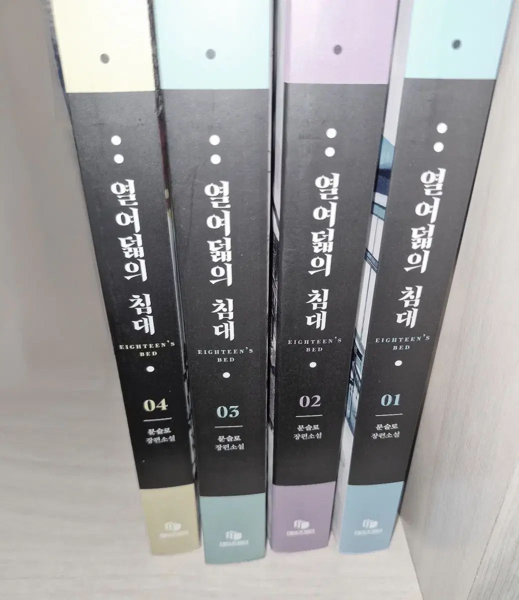 熱狂18歳 レディース単行本bl所蔵用