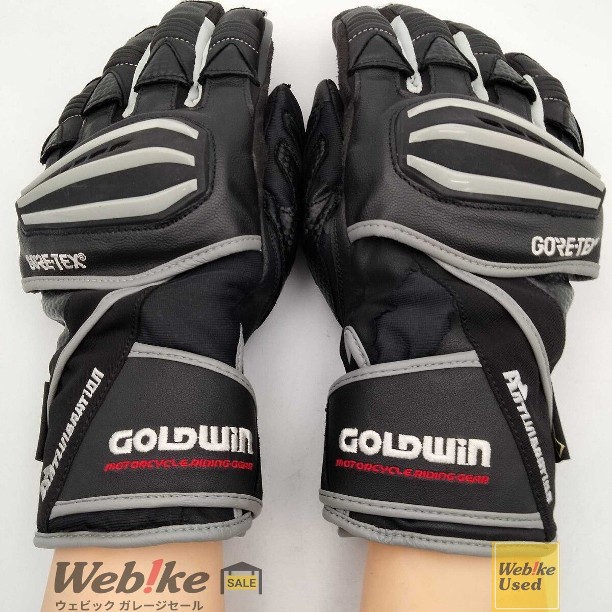 GOLDWIN ゴアテックス リアルスピードウィンターグローブ | サイズ：L