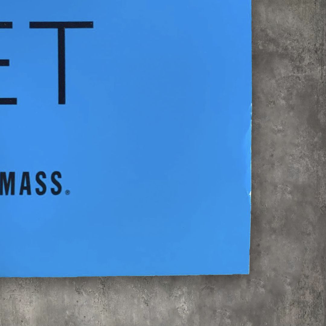  David Shrigley Aspen Snowmass IT’S THE TICKET コラボ アートポスター ブルー 現代アート 印刷物 コレクション