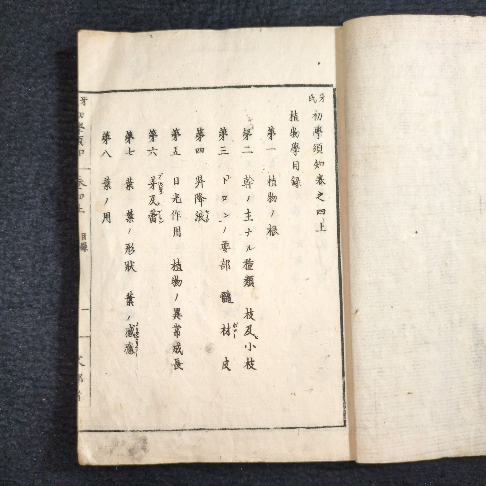 絵入◇初学須知◇4巻上下2冊揃 植物 草花 理科 科学 教科書 明治時代物 