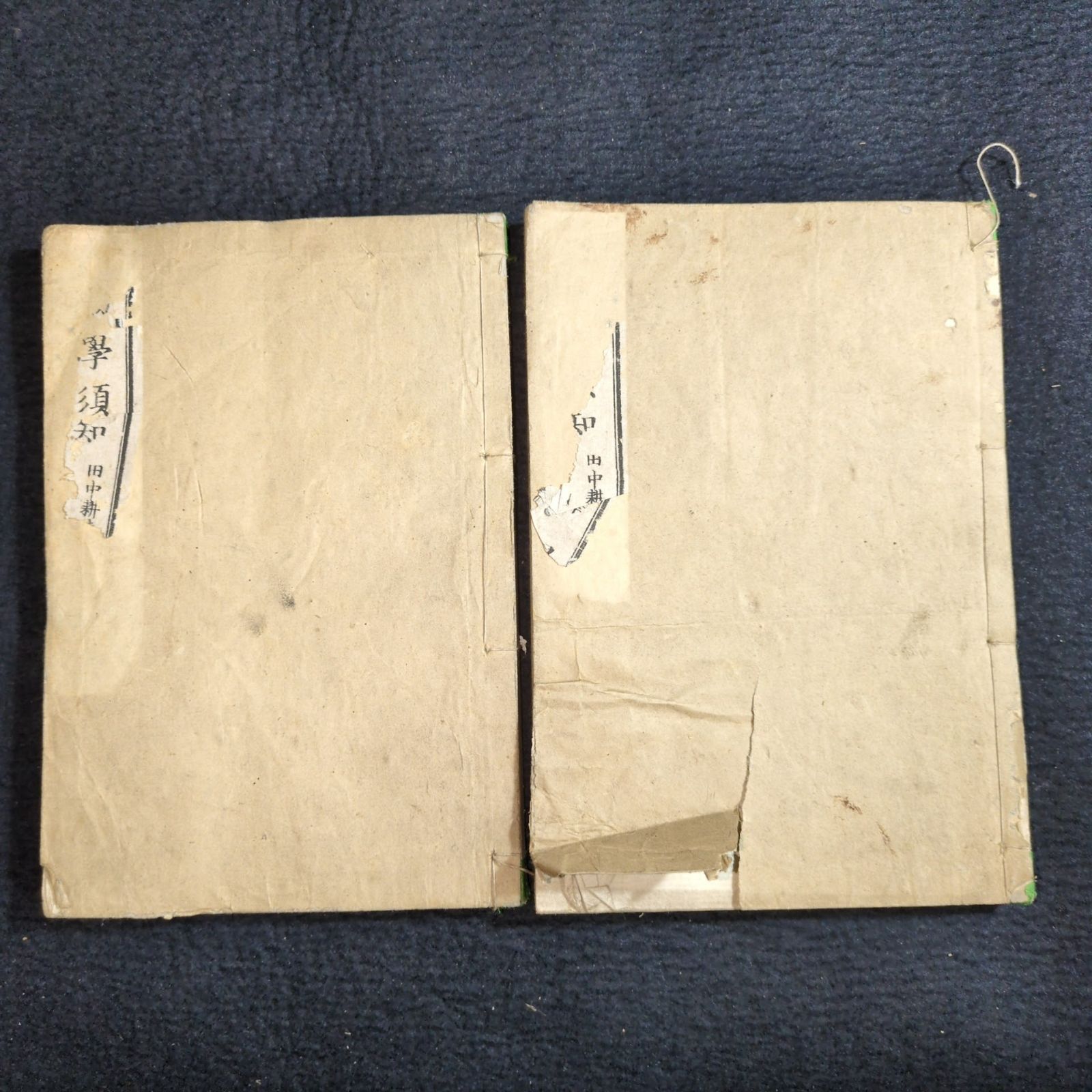 絵入◇初学須知◇4巻上下2冊揃 植物 草花 理科 科学 教科書 明治時代物 