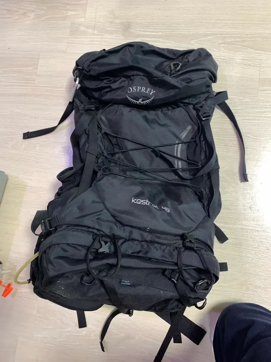 オスプレイ OSPREY キャッスル 48