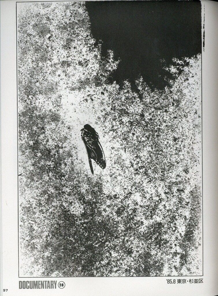 dashwood books MORIYAMA DAIDO森山大道 写真時代