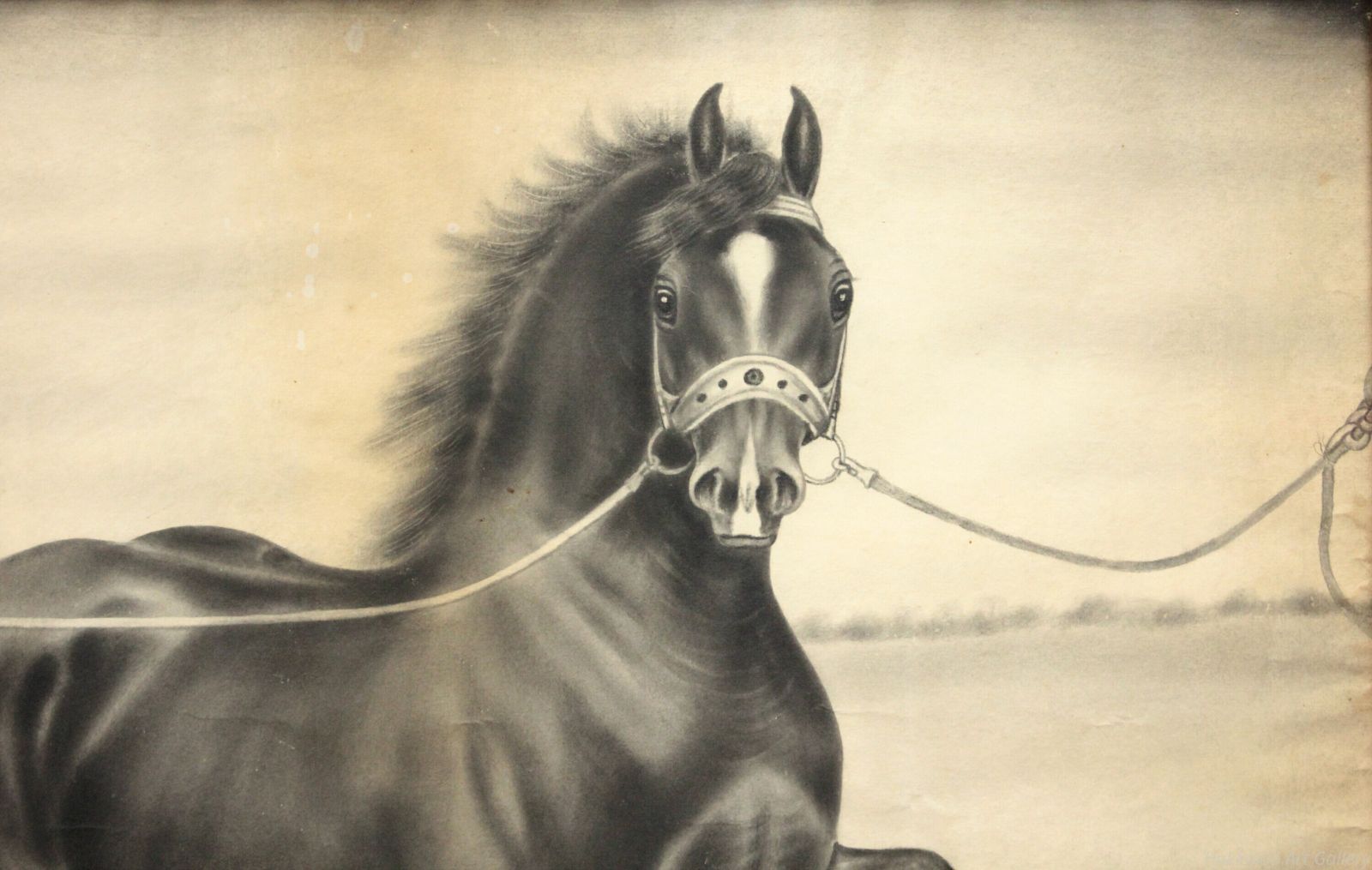 露山 「馬」 肉筆 絵画 - メルカリ