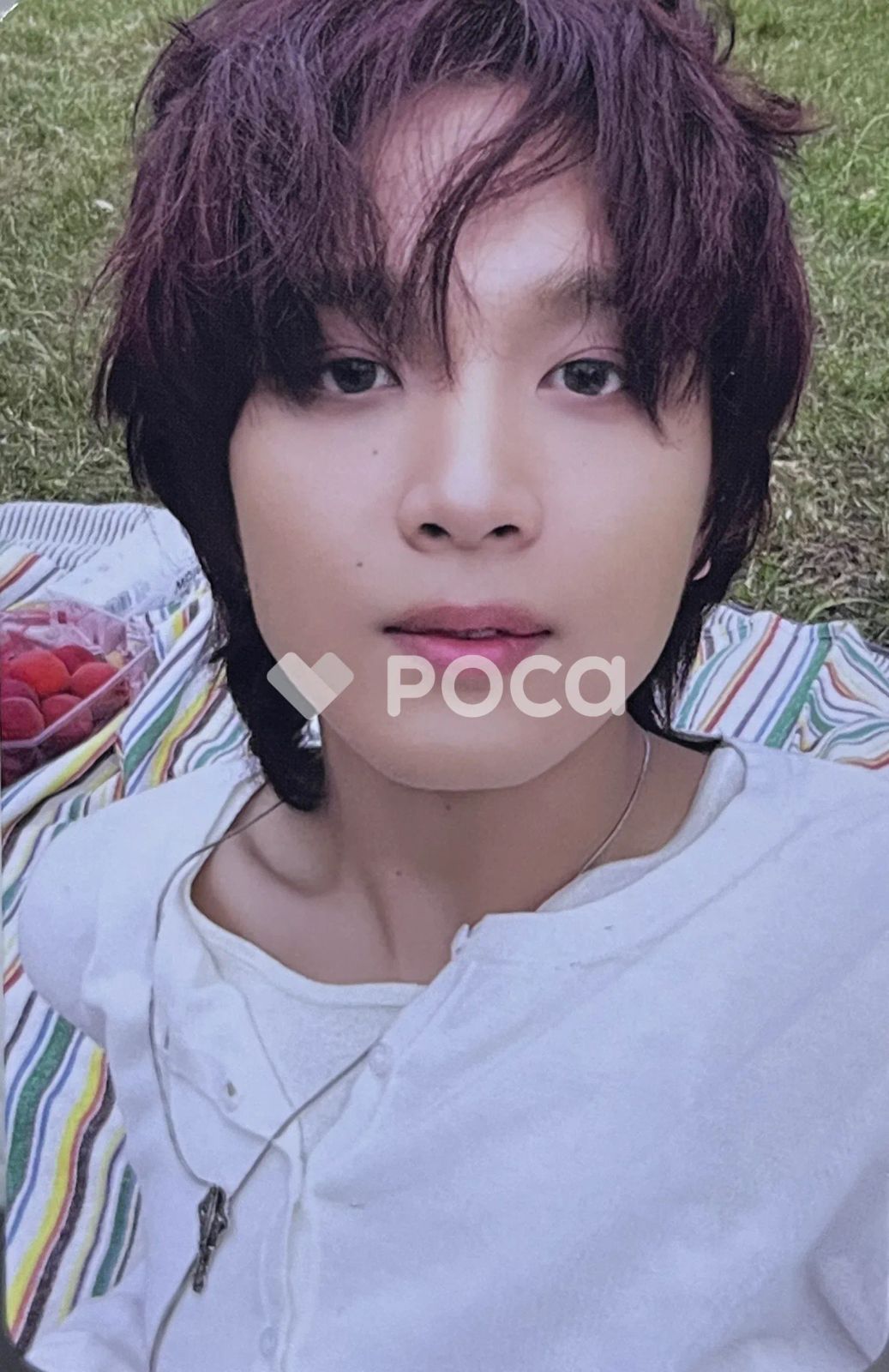 TASTE RANDOM TRADING CARD SET - メルカリ