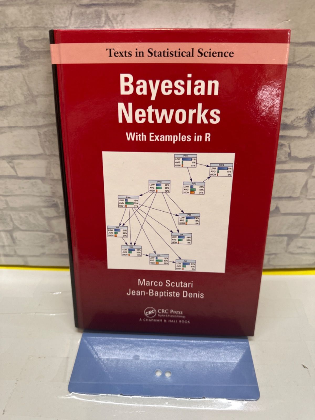 Y 3-79 Bayesian Networks With Examples in R