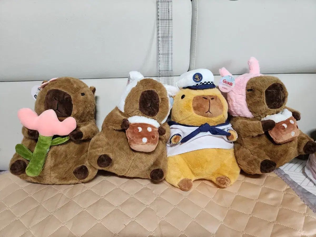 本物保証，最新作 カピバラ ぬいぐるみ ウール コレクション その他