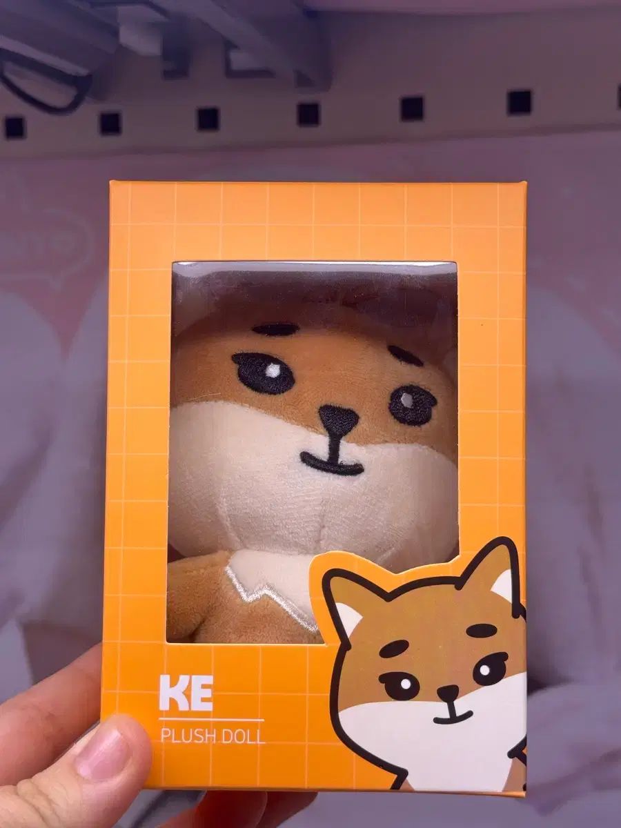 DAY6（デイシックス） デニマルズ(DENIMALZ) ヨンケイ(Young K) ケ