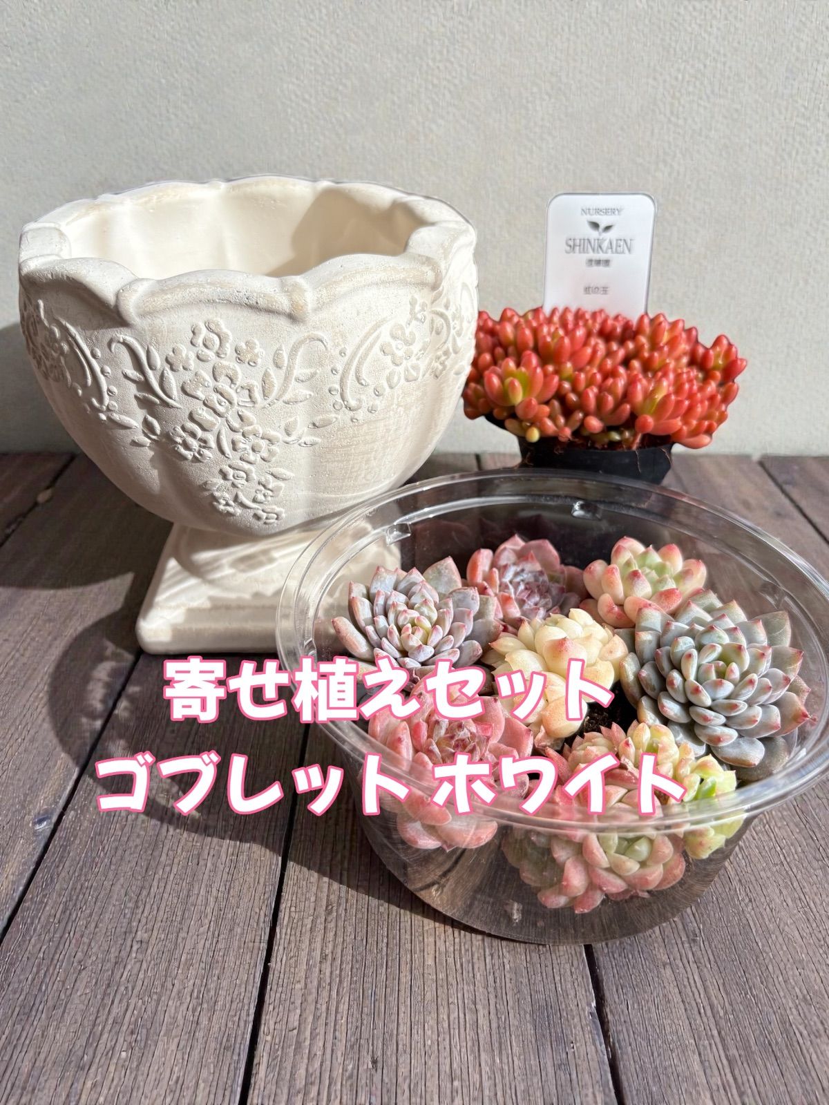 寄せ植えセット ゴブレット ホワイト 底穴あり ＆3cm前後の寄せ植え用