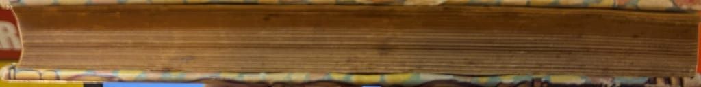  日本名探偵文庫 大下宇陀児 黒百合城 カバー付 貸本 2 文学 小説 本