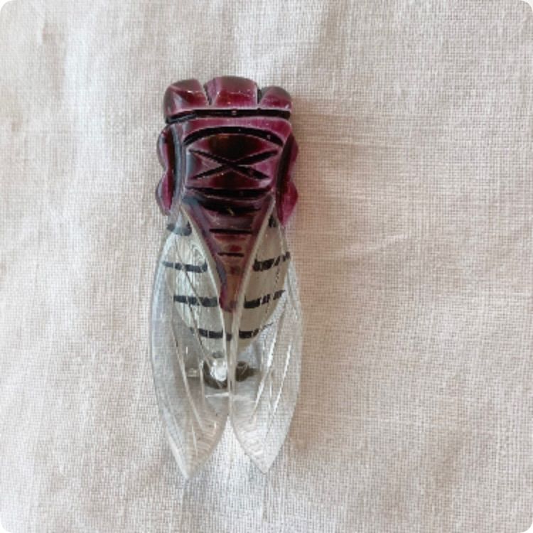 フランス直輸入 他にはない個性が魅力的 アイコニックなセミ型 ルーサイト ヴィンテージブローチ