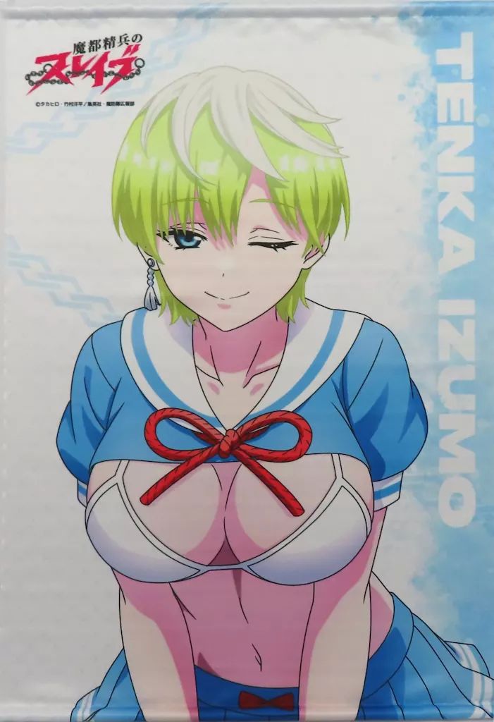 中古】タペストリー 出雲天花 B2判タペストリー 「Eureka!オンライン