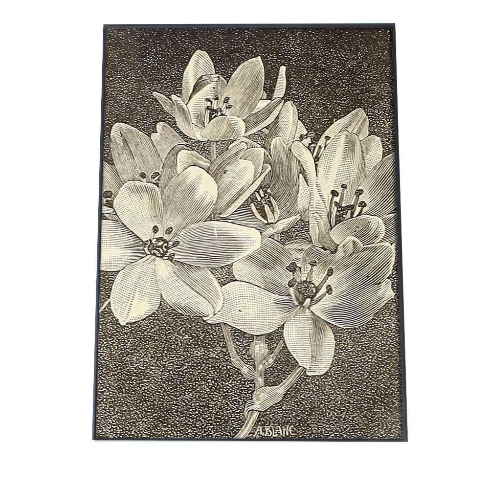 A4サイズ（約21x30cm）】【bn-poster-20】花 フラワー 博物画 植物