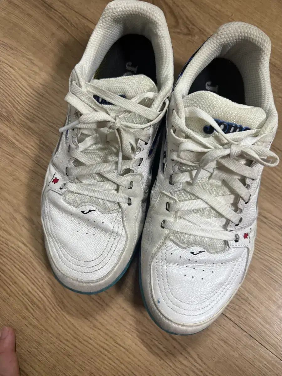 Joma ホマ リー アクティブ 260 サッカーシューズ