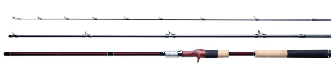 Fishman FBR-101 M BRIST .1