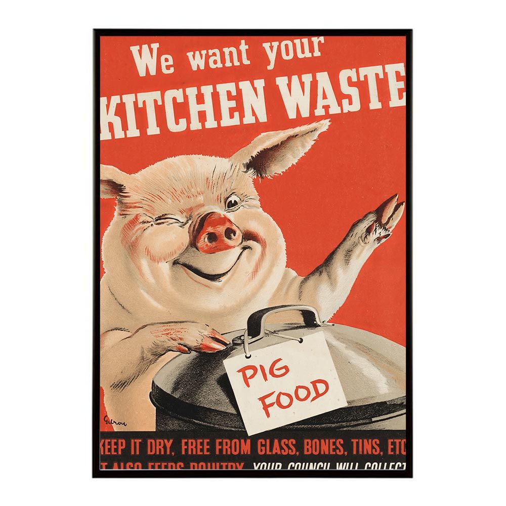 セレビィ スペースワールド2001 プロモ psa9 セレビィ PSA9 プロモ