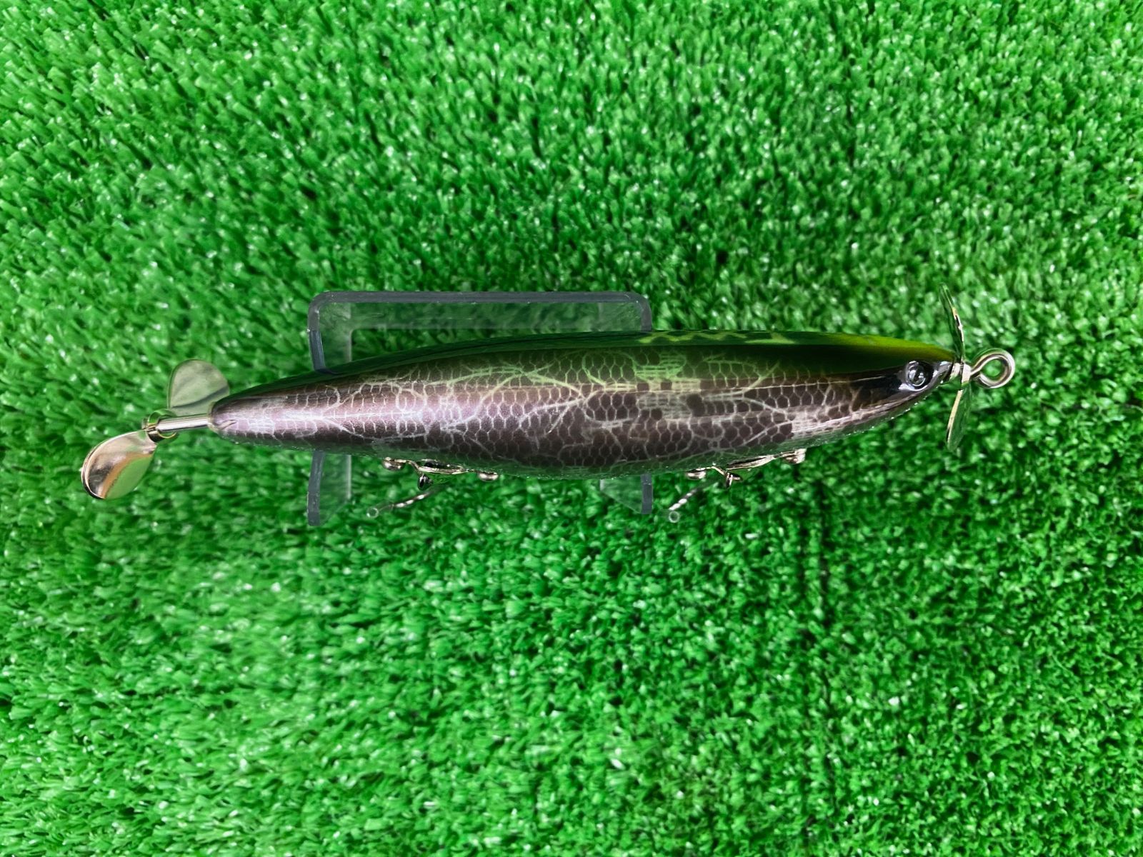 Fxxx ガリテトラ 主オリジナルカラー ショートペラ (栗東店） - メルカリ