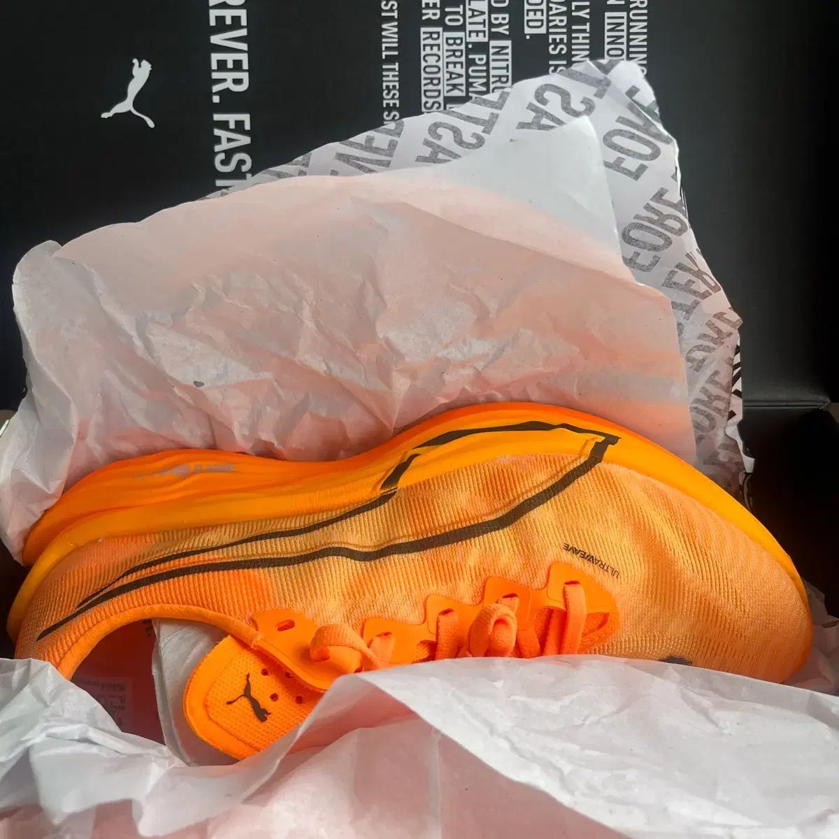 ディナエル PUMA ディビエイト ニトロ エリート 3 270