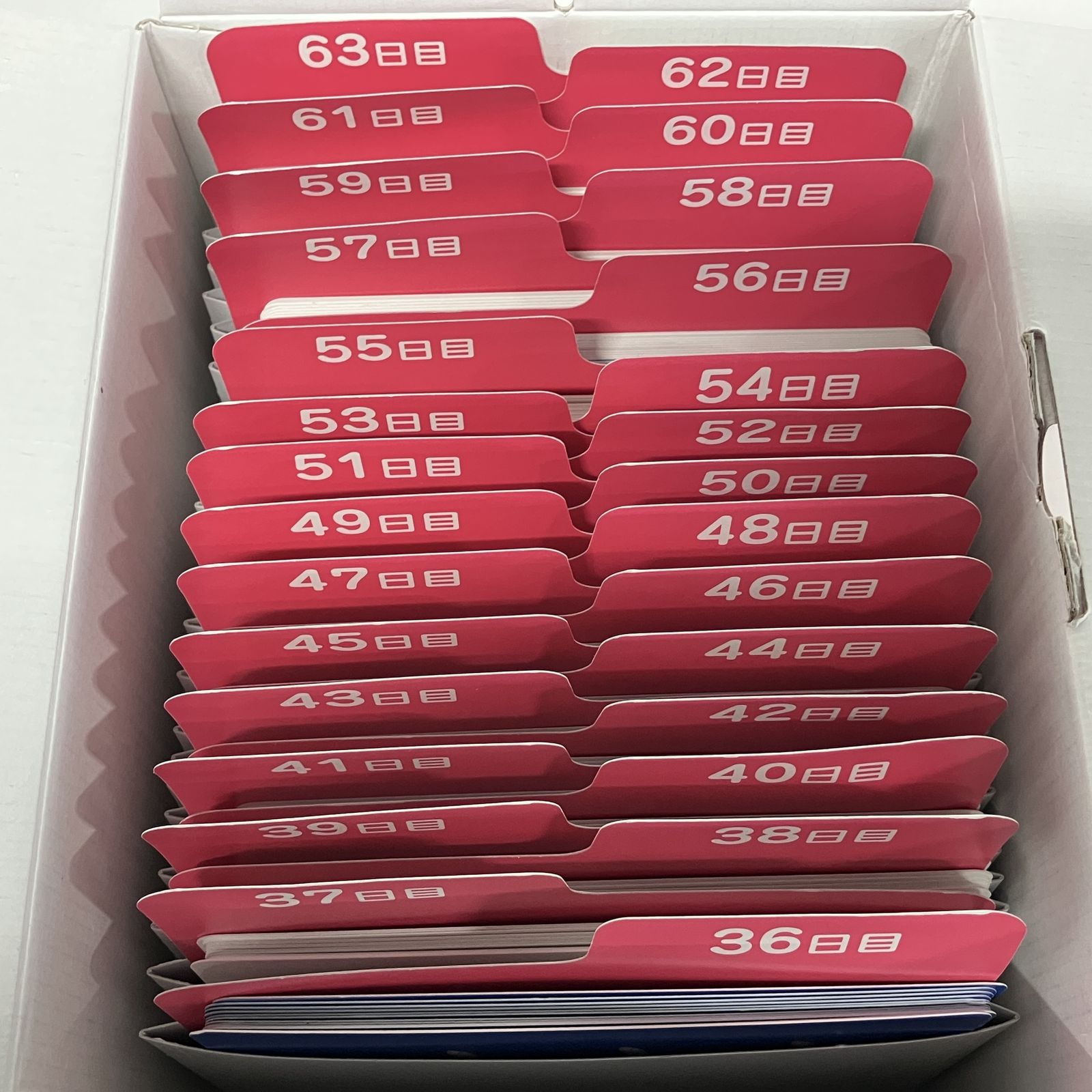 しちだ 教育研究所 七田式 ドッツセット 1日目 - 63日目 フラッシュ