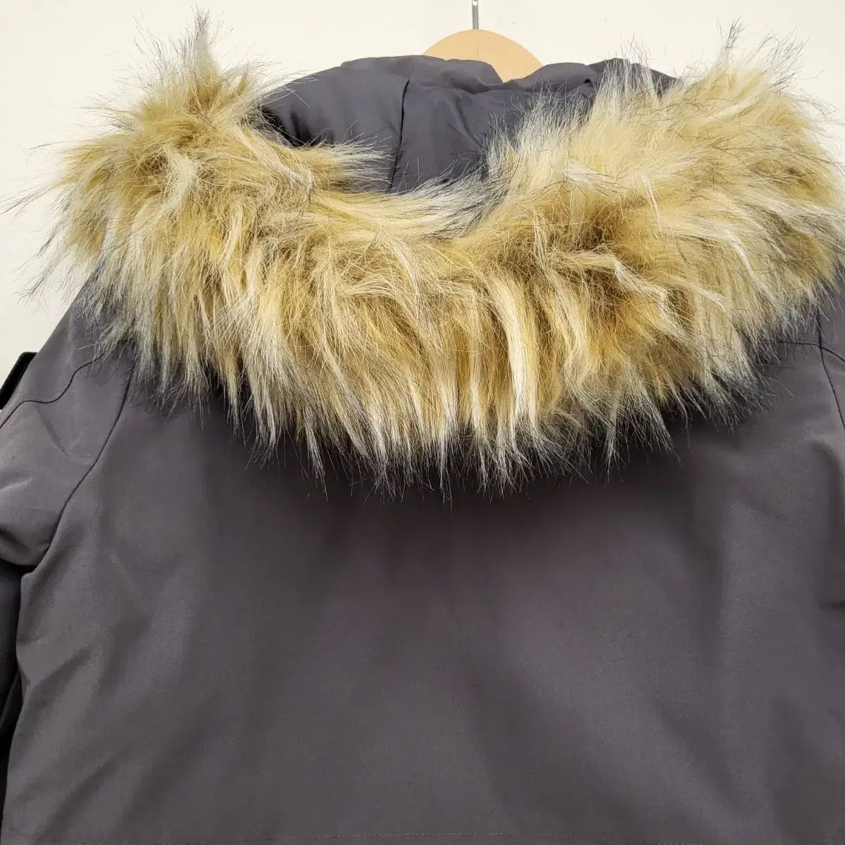 ナショナルジオグラフィック