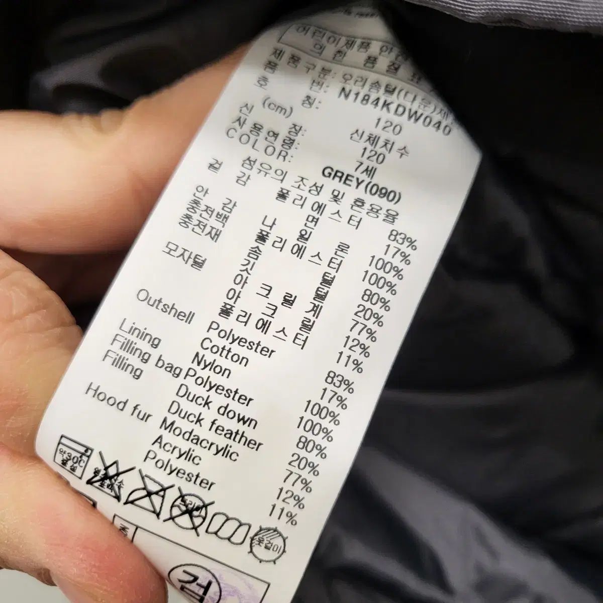 ベルーガ ダウン