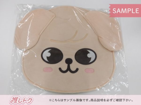 Stray Kids SEUNGMIN うちわケース PuppyM パピーム スンミン - メルカリ