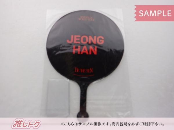 SEVENTEEN JEONGHAN うちわ WORLD TOUR BE THE SUN IMAGE PICKET