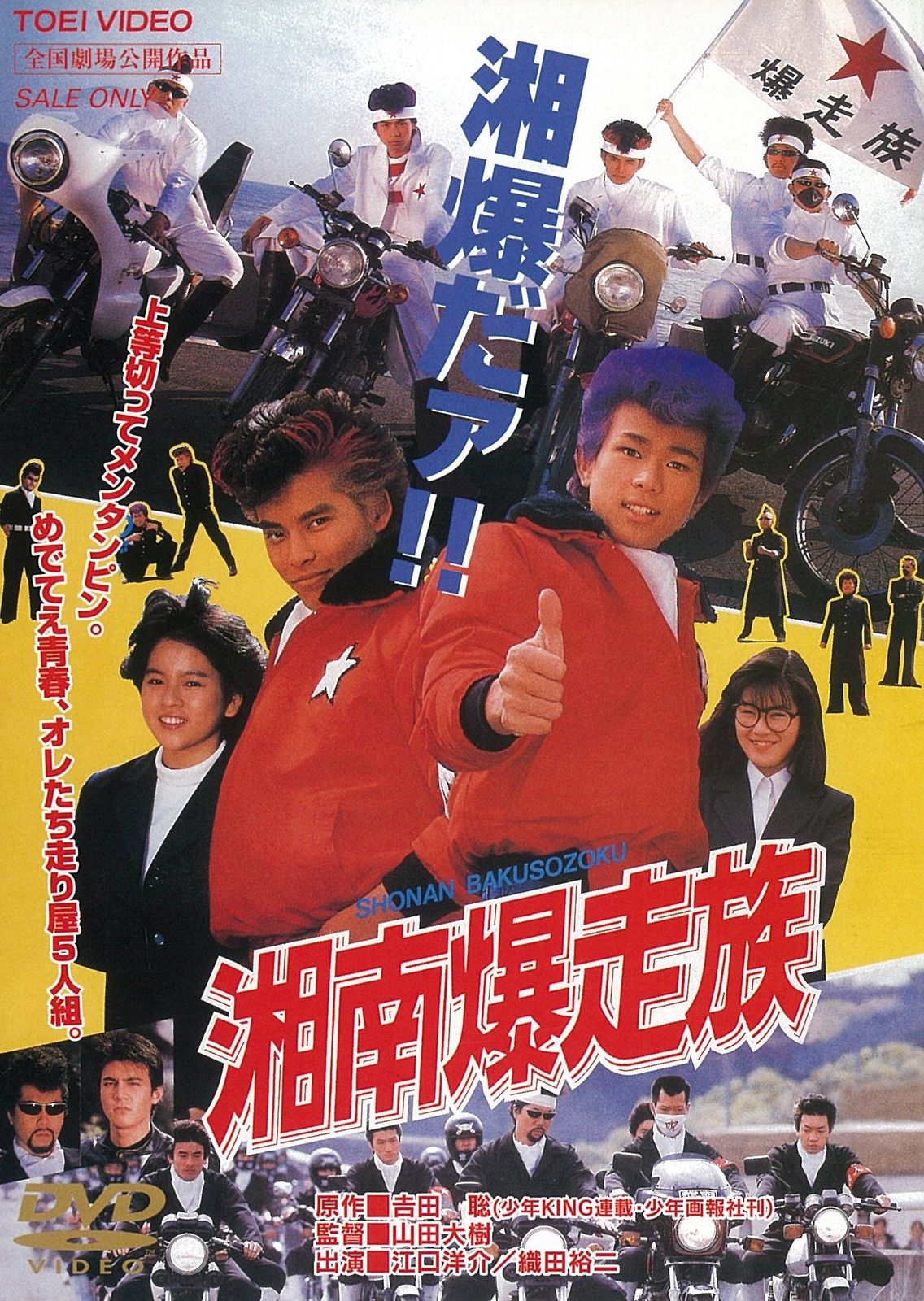 湘南爆走族 DVDコレクション VOL.5 【公式通販】