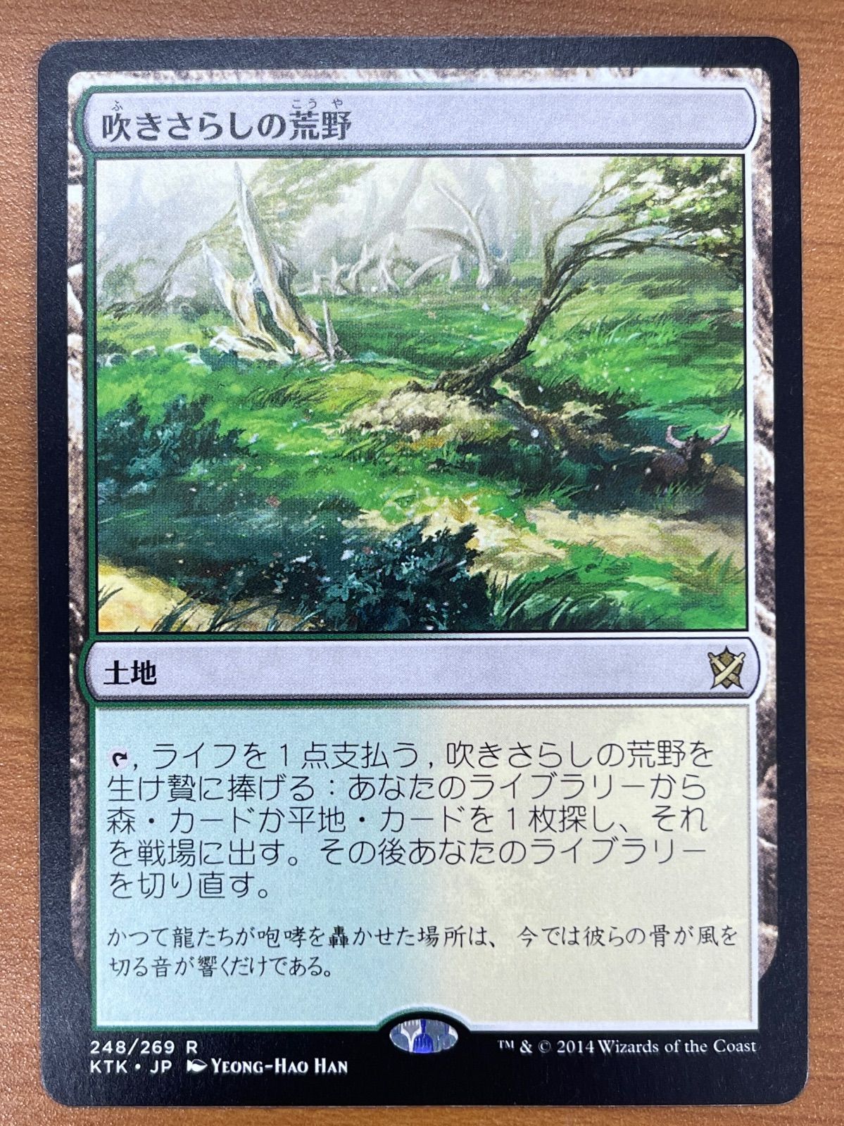 MTG吹きさらしの荒野 & 樹木茂る山麗セット 状態A 吹きさらしの荒野 レア R 248/269 KTK 日本語版 MTG マジックザ
