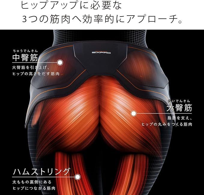 シックスパッド ボトムベルトL