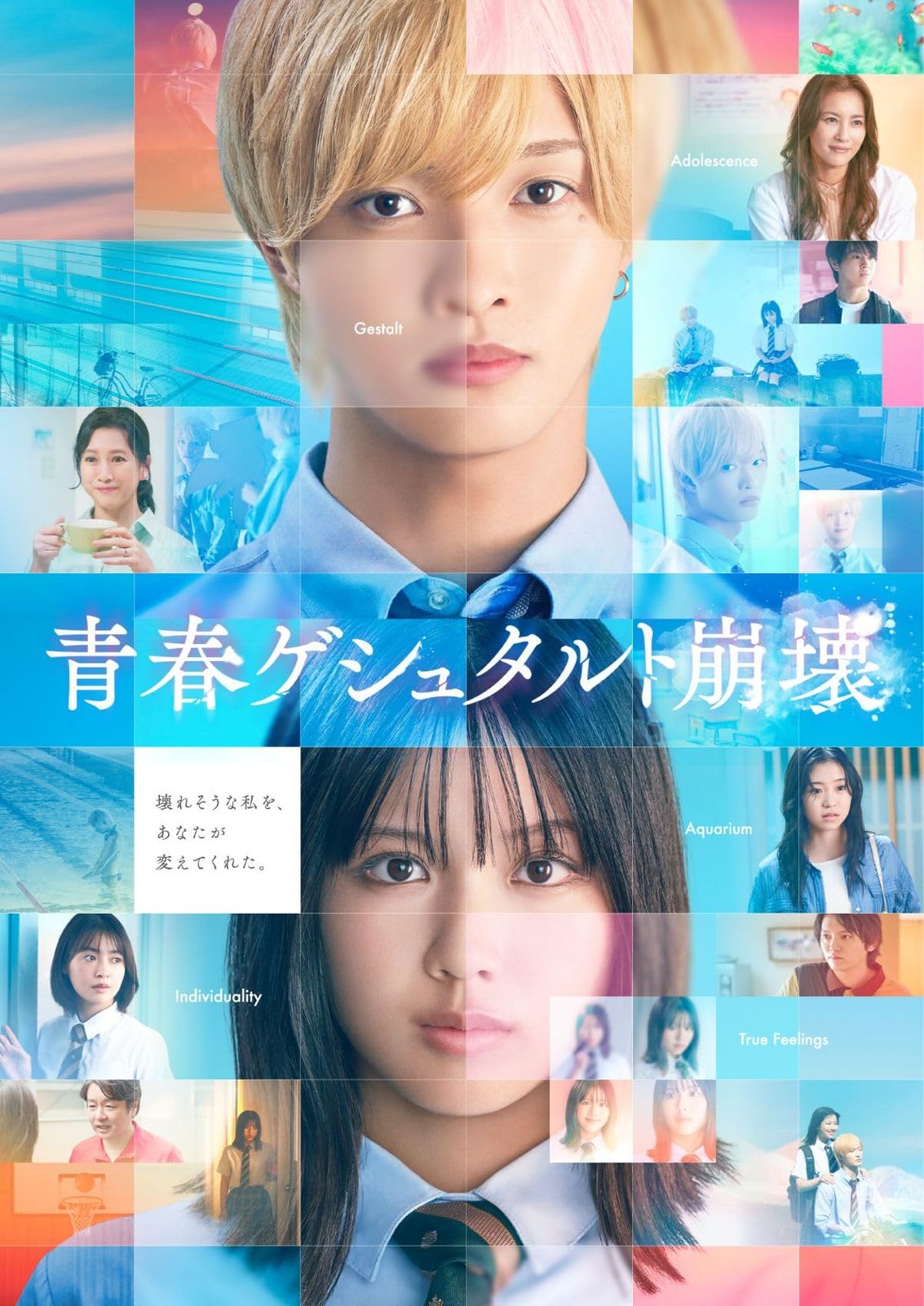 映画 青春ゲシュタルト崩壊 豪華Blu-rayセット Blu-ray - 佐藤新 IMP. 品