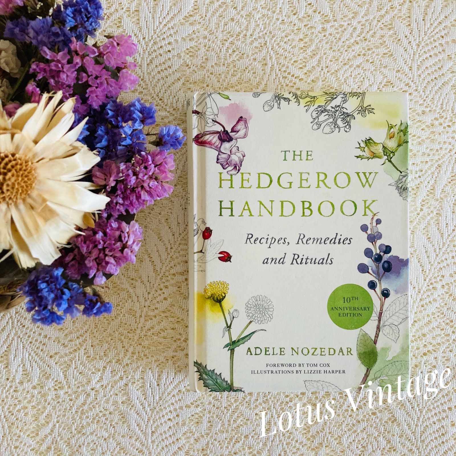 淡い彩りに包まれた植物図鑑♡ 美しいガイドブック インテリア洋書