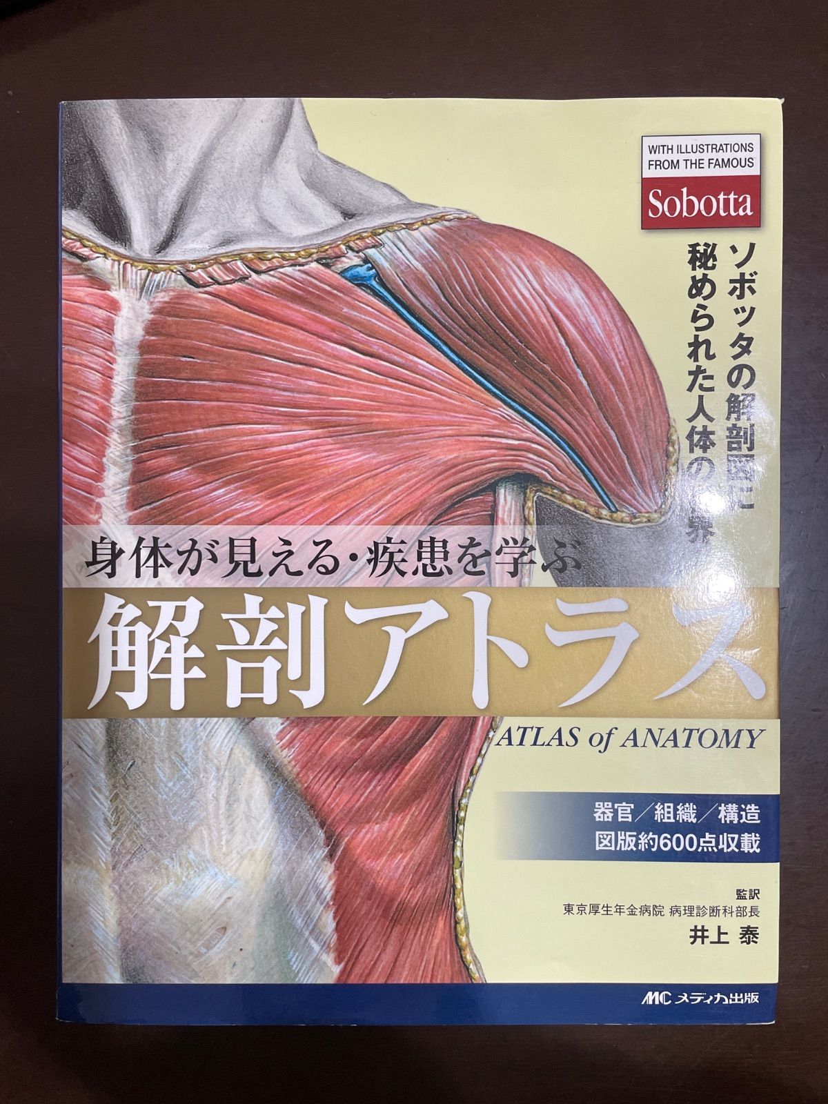 身体が見える 疾患を学ぶ解剖アトラス-ソボッタの解剖図に秘められた人体の世界 井上 泰 奧田 昌子
