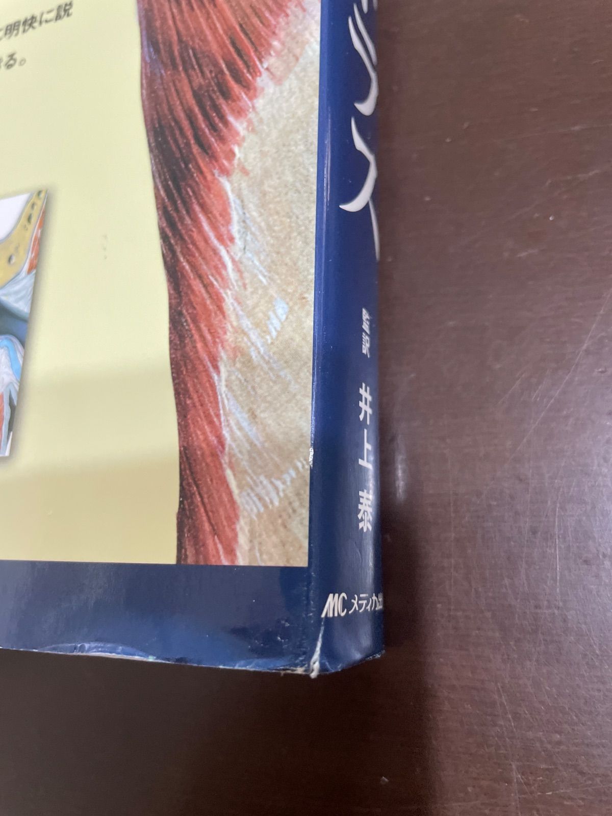 身体が見える 疾患を学ぶ解剖アトラス-ソボッタの解剖図に秘められた人体の世界 井上 泰 奧田 昌子