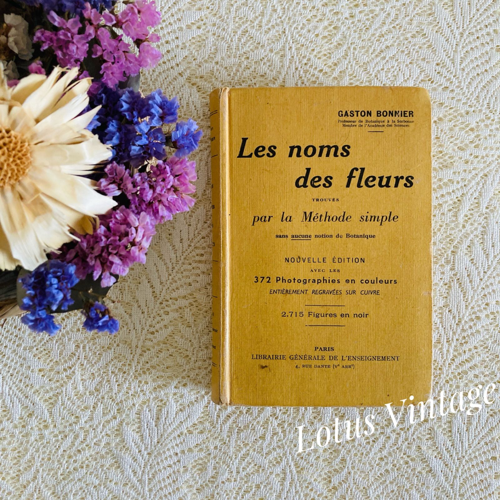 フランスのアンティーク植物図鑑 可憐な植物画♡ 洋書・古書 - メルカリ