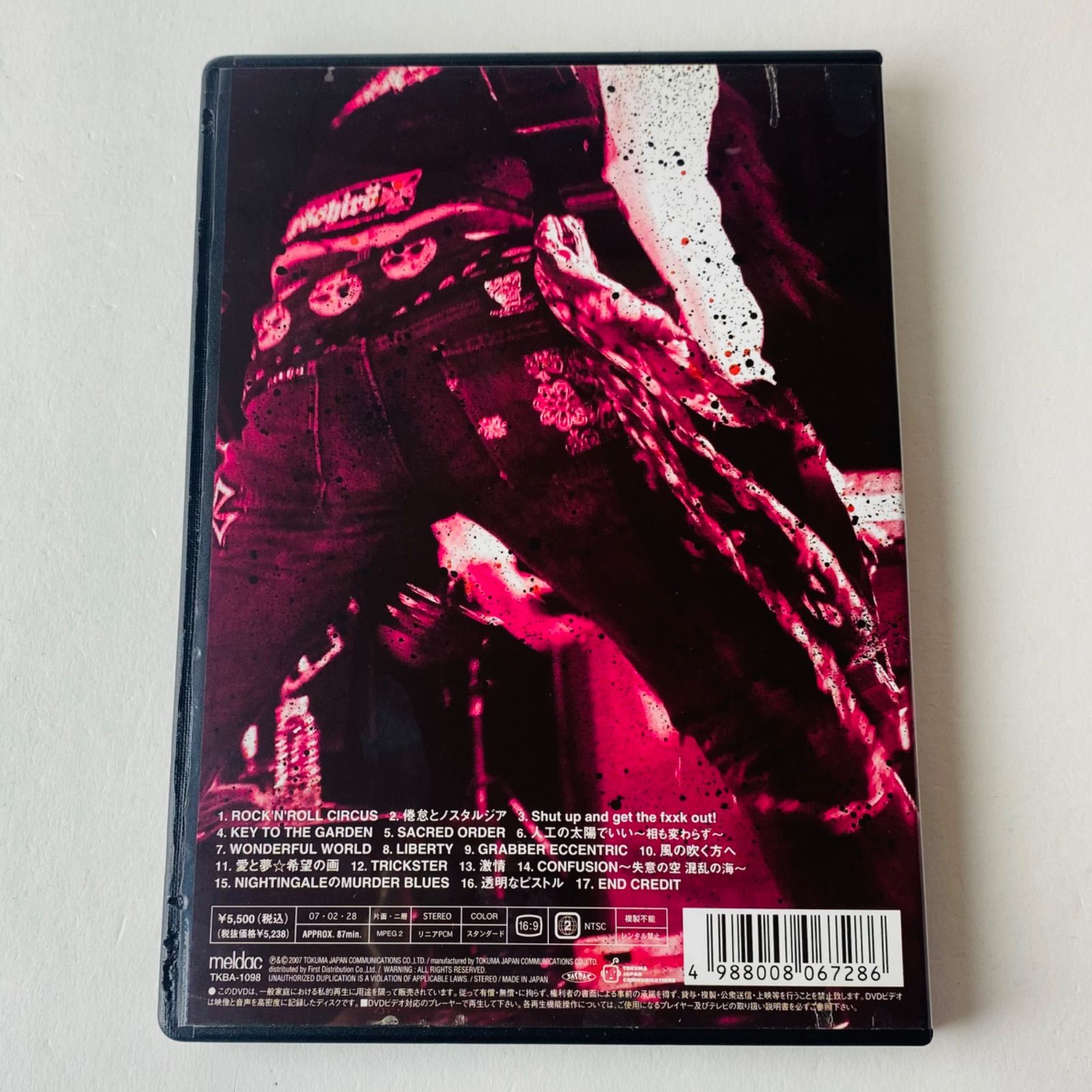 The DUST'N'BONEZ (ザ・ダストゥン・ボーンズ) / TOUR 2007ーROCK'N