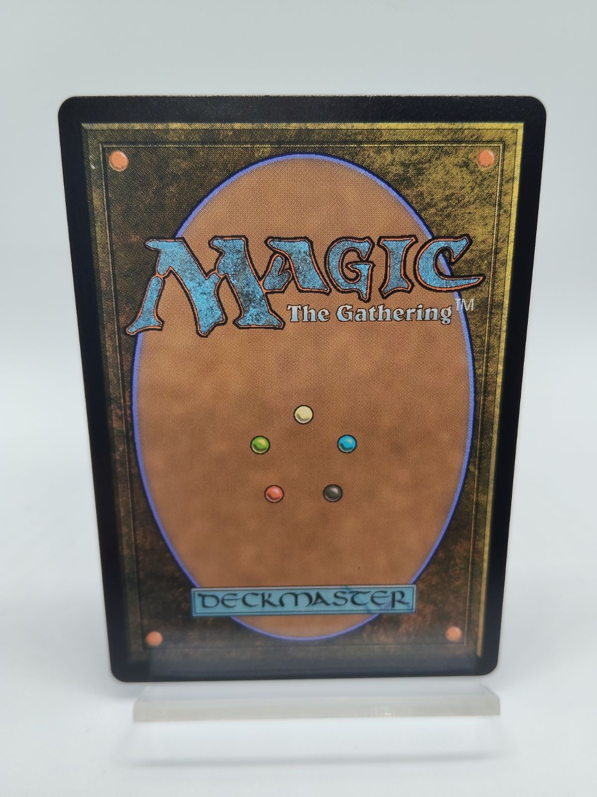 英語】アナグマモグラの仔 / Badgermole Cub / ボーダーレス