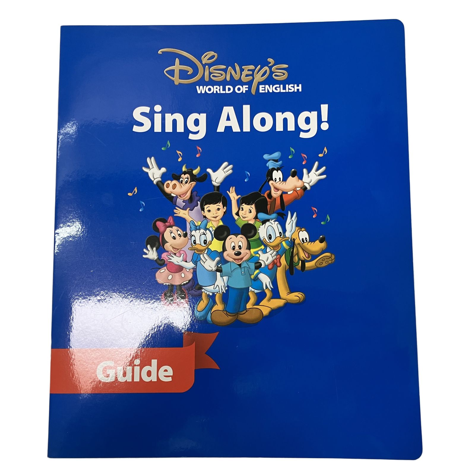 ディズニー英語システム シングアロング DVD版 DWE ディズニー