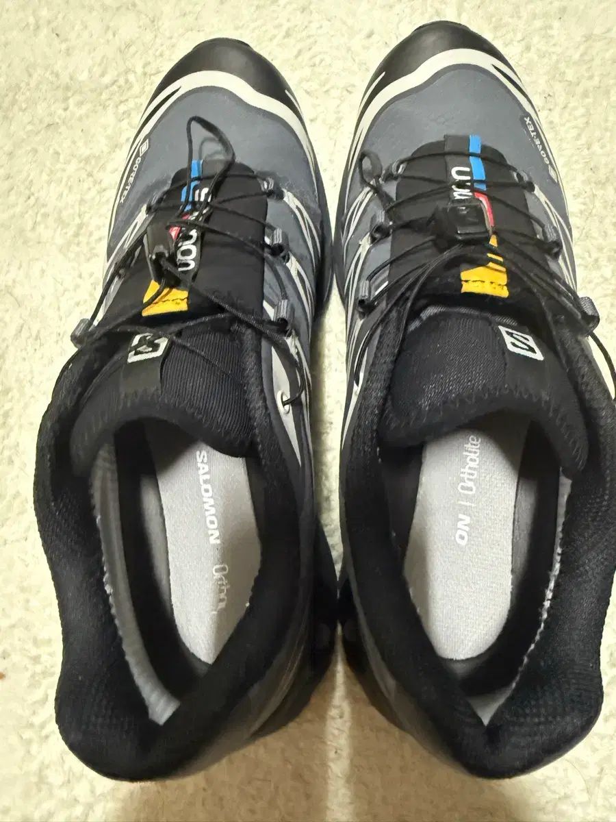 SALOMON サロモン