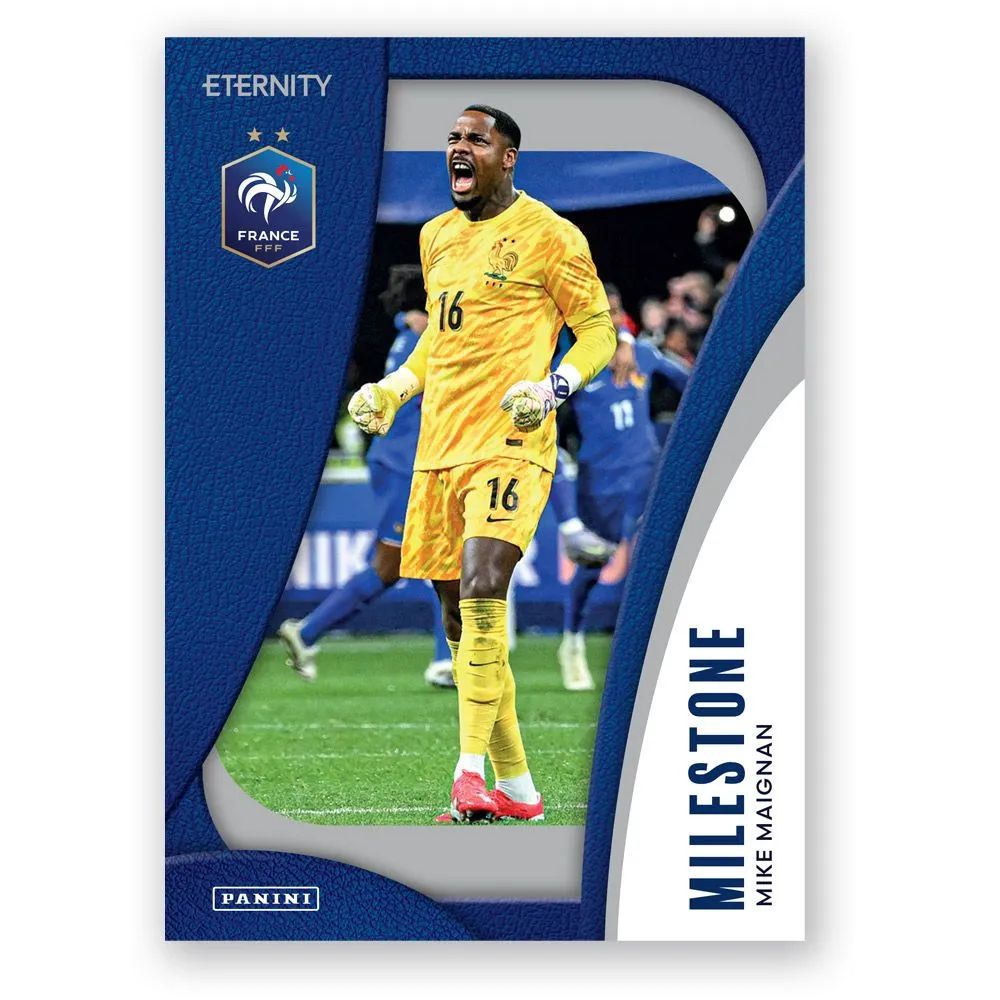 国内未発売 新品未開封 3Boxセット】PANINI ETERNITY BLEUS - PREMIUM