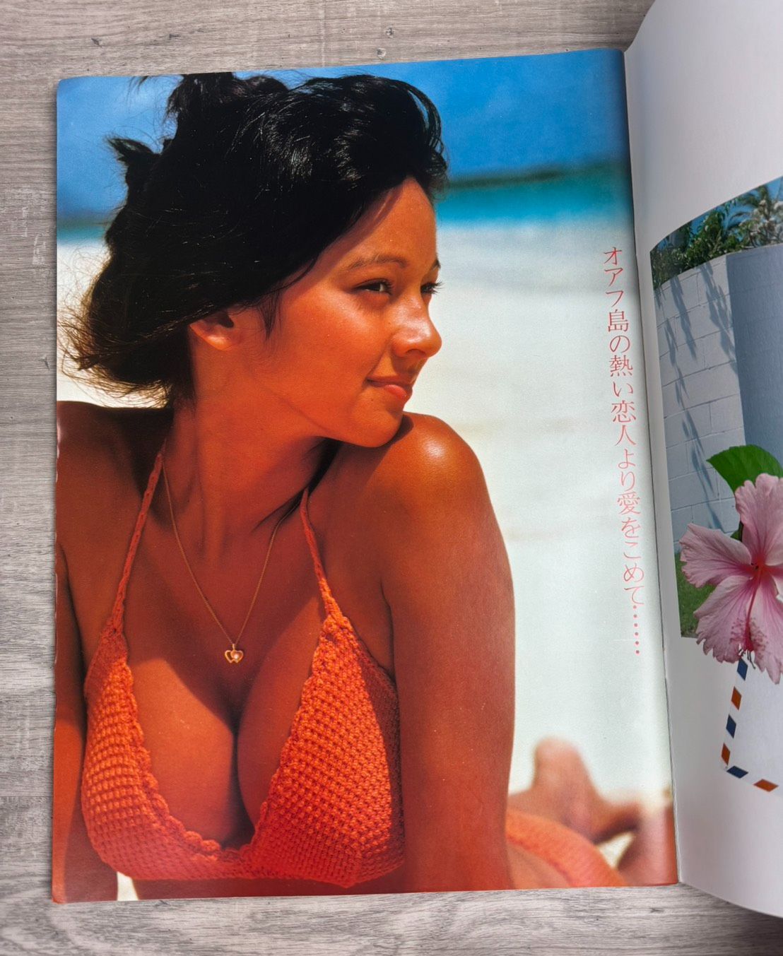 ヤングアイドルナウ Vol.16 アグネスラム 雑誌 Young Idol Now 1976年