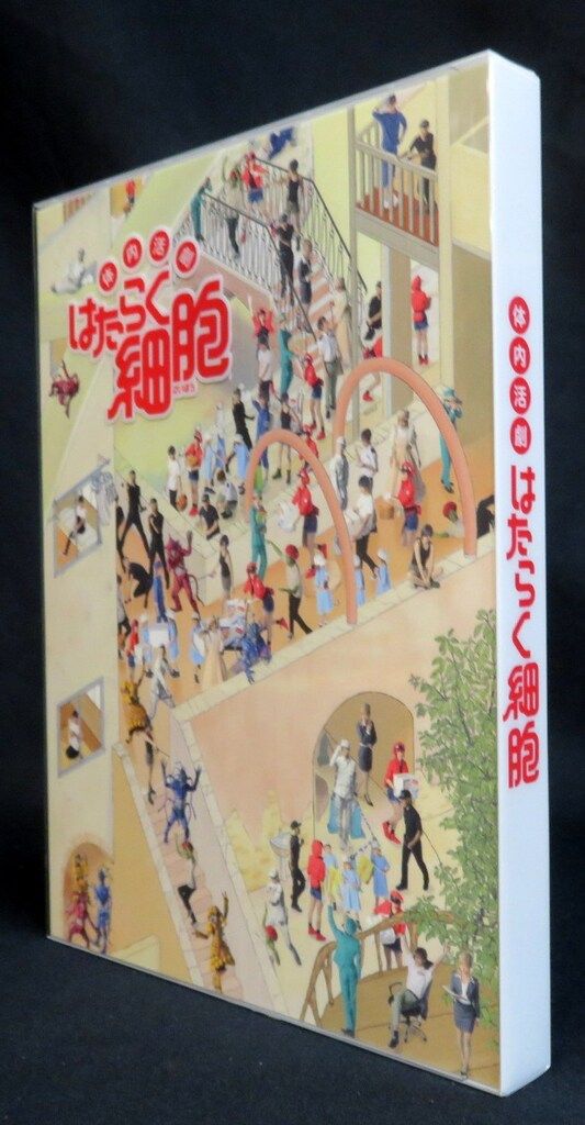 foil LiminalGuide GrandArchiveグランドアーカイブ