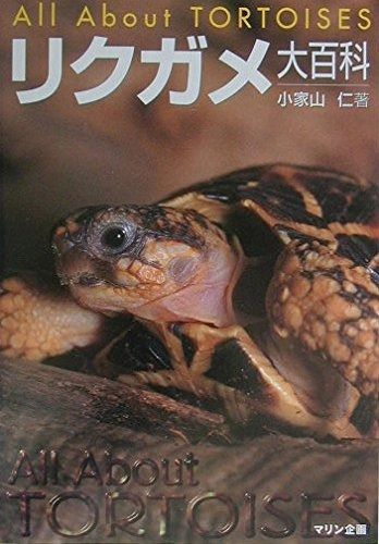 【得価，人気SALE】 リクガメ大百科 その他
