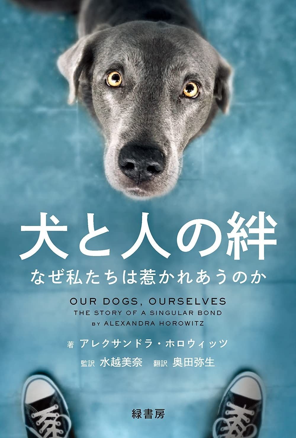 犬と人の絆 なぜ私たちは惹かれあうのか