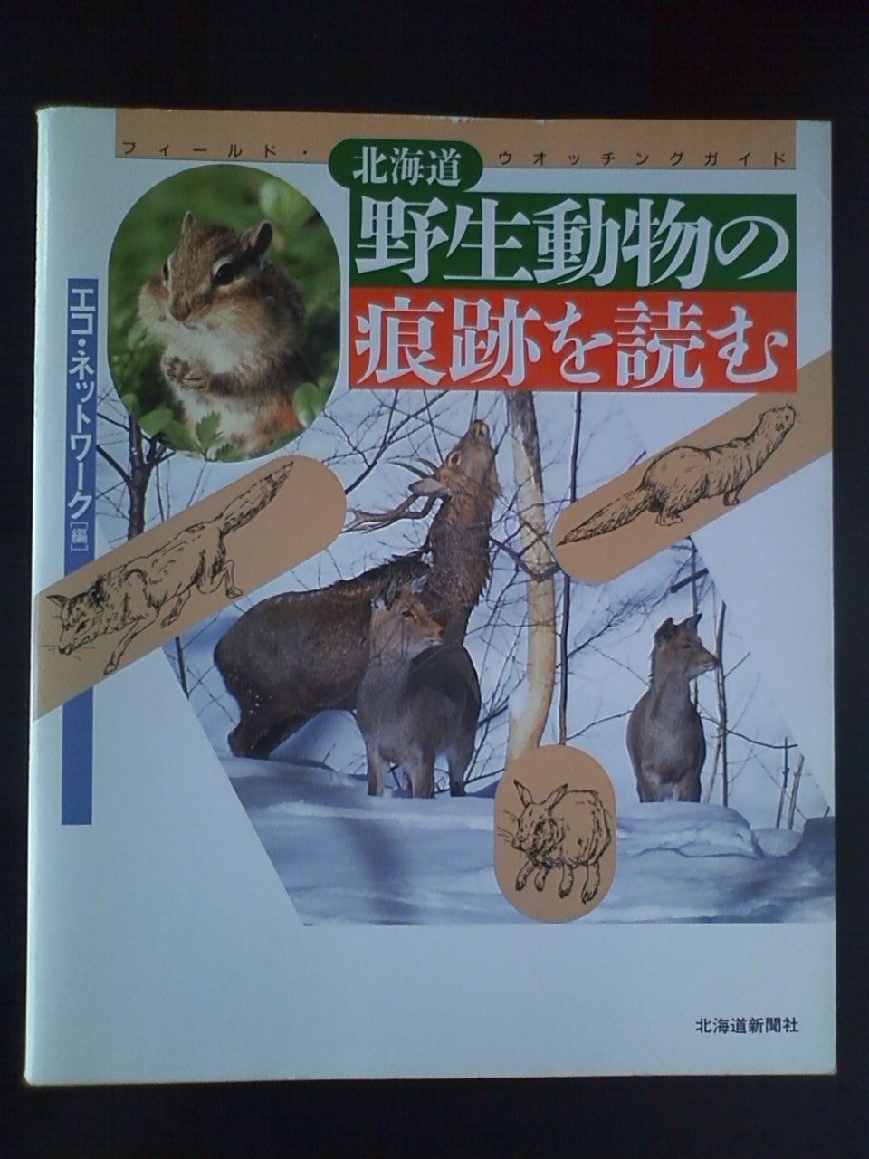HOT 北海道野生動物の痕跡を読む: フィールド・ウオッチングガイド